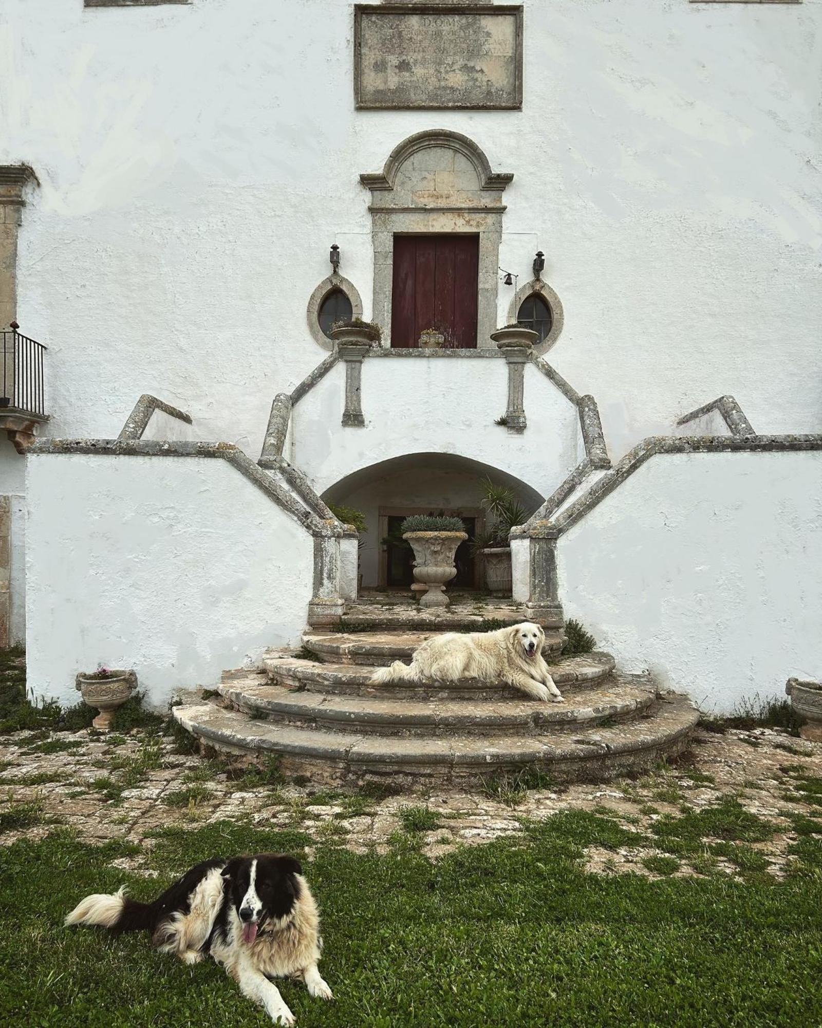 Bed and Breakfast Masseria Murgia Albanese Noci Exterior foto