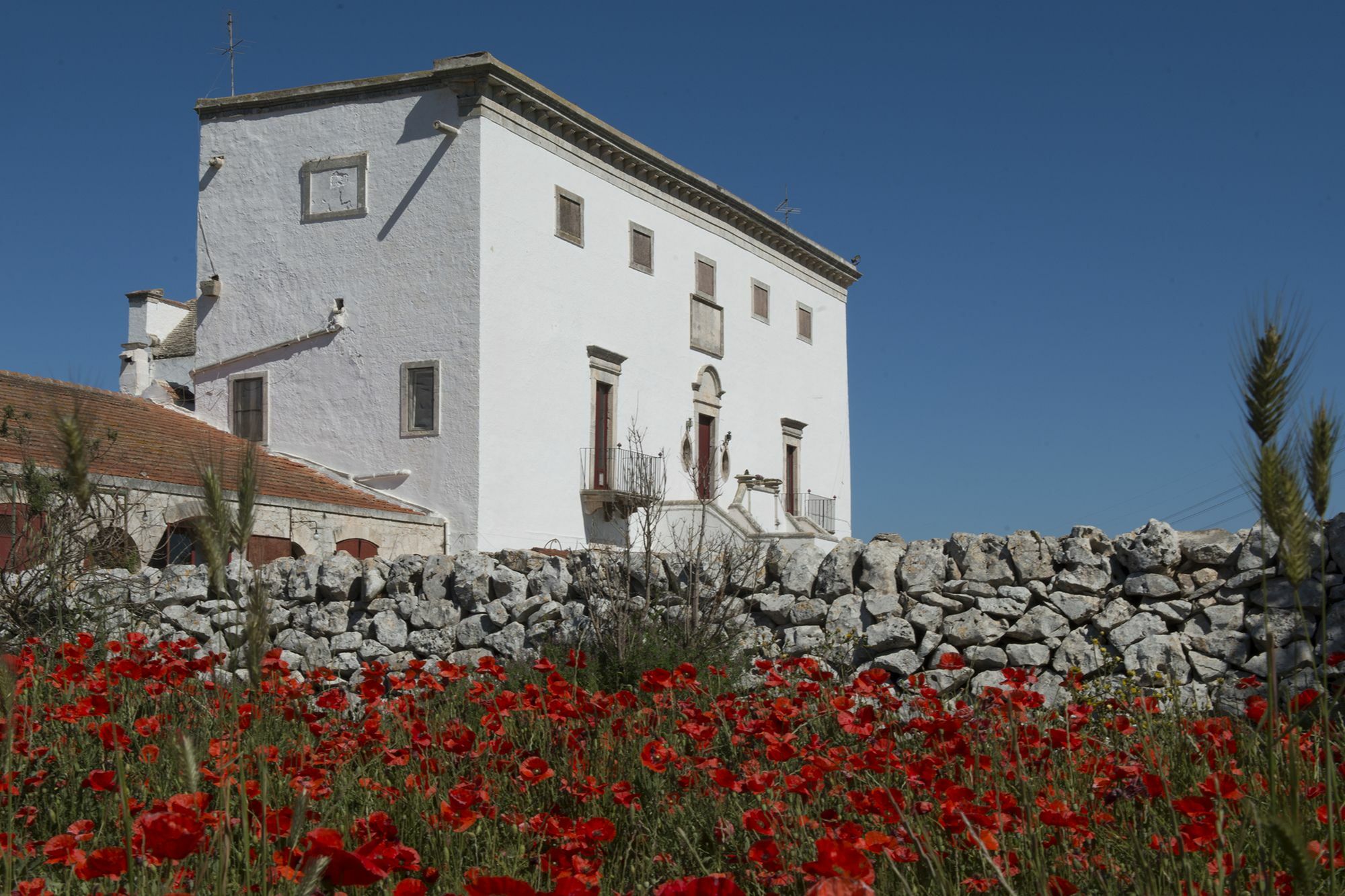 Bed and Breakfast Masseria Murgia Albanese Noci Exterior foto